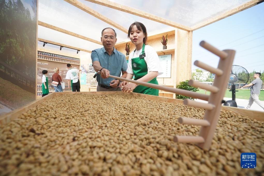 贝斯特老虎机
